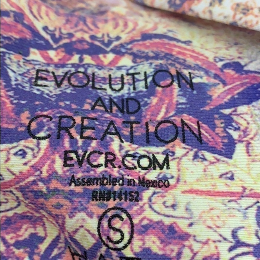 Evolution and creation - Picture 3 of 7